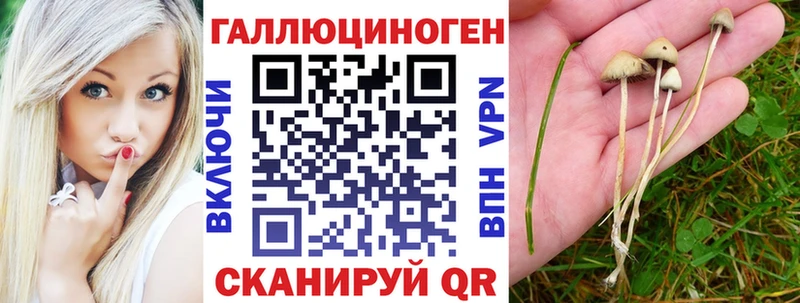 наркота  Ирбит  Псилоцибиновые грибы MAGIC MUSHROOMS 